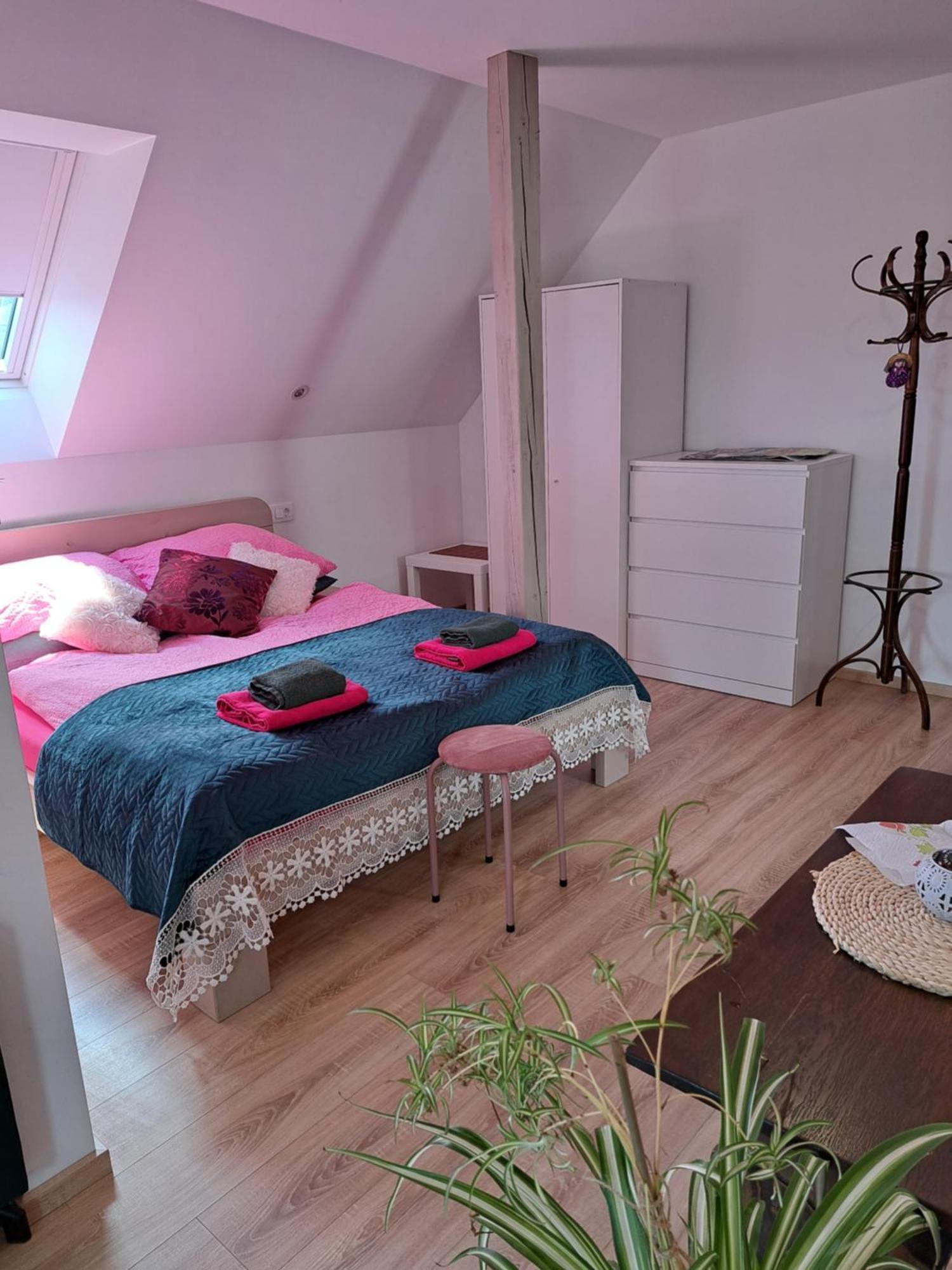 شقة Apartmaji Magda زغورنجي المظهر الخارجي الصورة