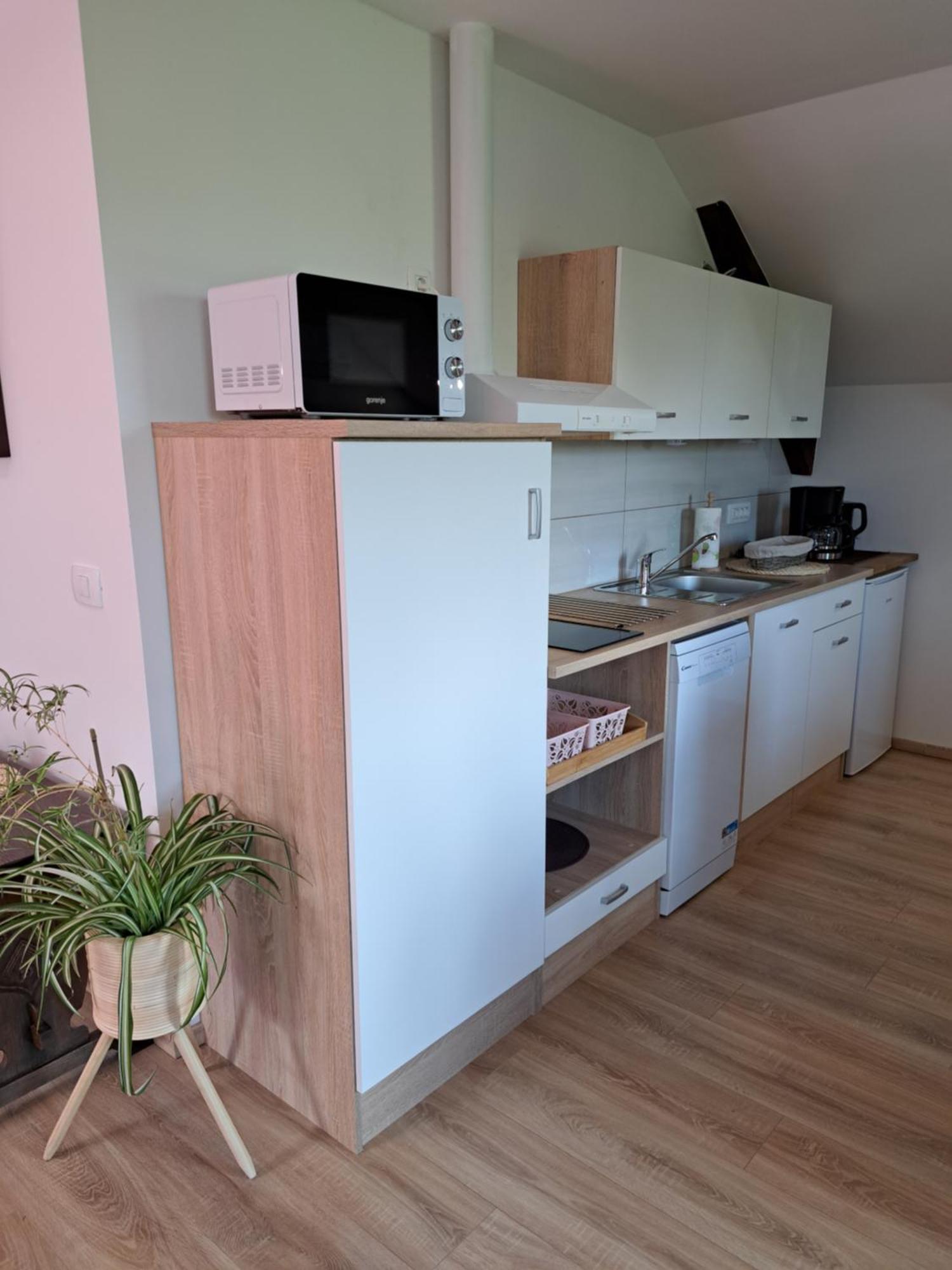 شقة Apartmaji Magda زغورنجي المظهر الخارجي الصورة